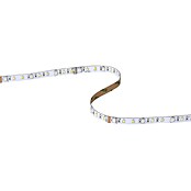 Eglo connect.z LED-Band (Länge: 500 cm, Lichtfarbe: RGBW, 1 250 lm) | BAUHAUS