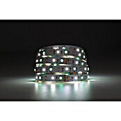 Eglo connect.z LED-Band (Länge: 500 cm, Lichtfarbe: RGBW, 1 250 lm) | BAUHAUS
