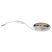 Eglo connect.z LED-Band (Länge: 500 cm, Lichtfarbe: RGBW, 1 250 lm) | BAUHAUS