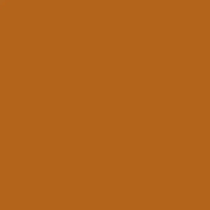 Liquitex Basics Acrylfarbe - Siena Natur, 118 ml - Durchgehender dunkelorangebrauner Farbton.