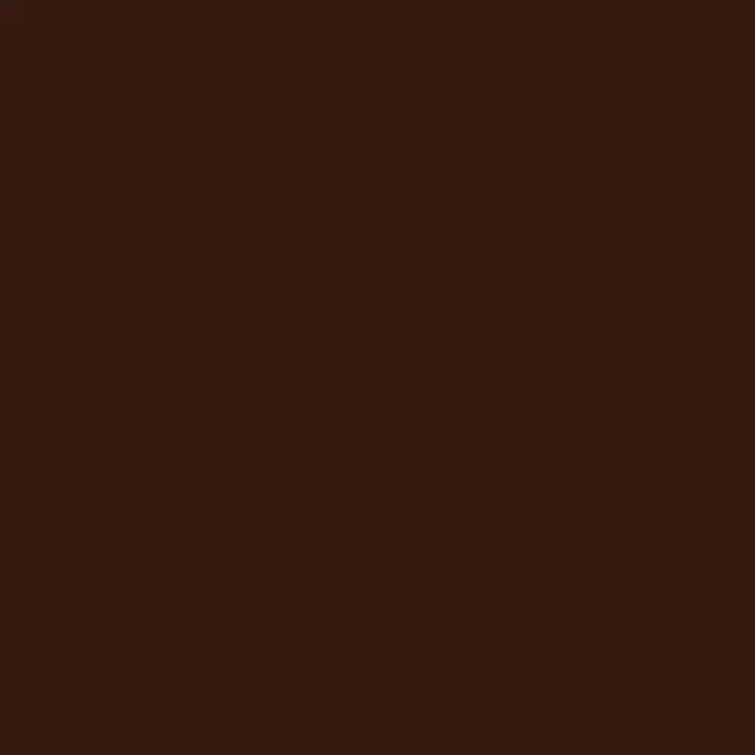 Liquitex Basics Acrylfarbe - Umbra gebrannt, 250 ml - Einfarbige dunkelbraune Fläche.