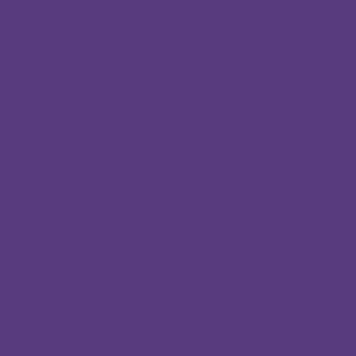 Lefranc & Bourgeois Gouachefarbe (Violett, 500 ml)