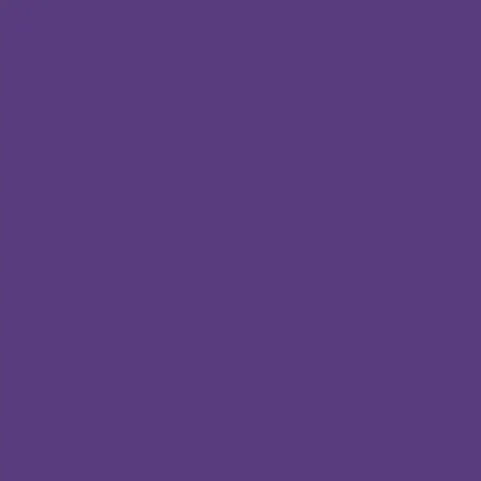 Lefranc & Bourgeois Gouachefarbe Redimix - Violett, 500 ml, Flasche - Solide, dunkelviolette Farbfläche.