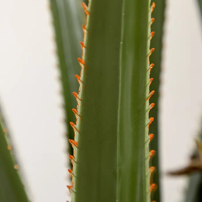 Homcom Kunstpflanze künstliche Yucca - 