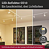 Paulmann LED-Lampe GU10 3CCT (GU10, Dimmbar, Warmweiß, 6,9 W) | BAUHAUS