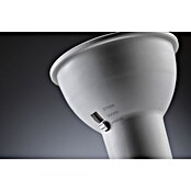 Paulmann LED-Lampe GU10 3CCT (GU10, Dimmbar, Warmweiß, 6,9 W) | BAUHAUS