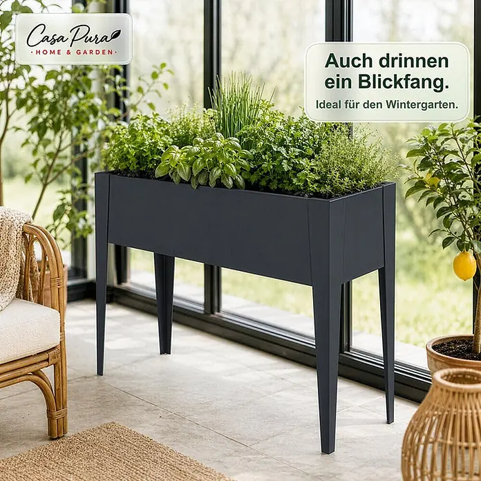 Floordirekt Hochbeet Timo Anthrazit 100 x 30 x 80 cm - 30 x 100 x 80 cm, Metall, Anthrazit - Dunkelgraues Hochbeet auf hohen Beinen, mit Kräutern bepflanzt. Ideal für den Wintergarten.