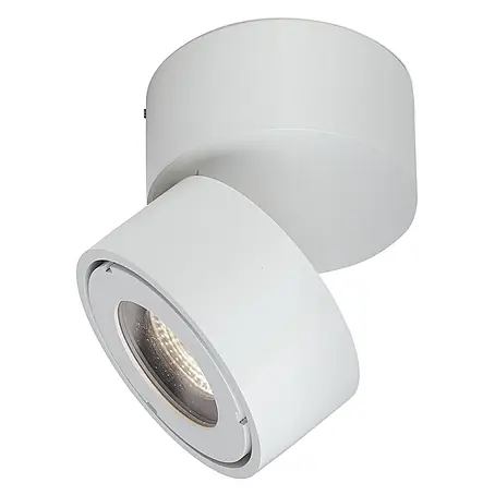 Orion Leuchten  LED-Außenwandleuchte Harvey