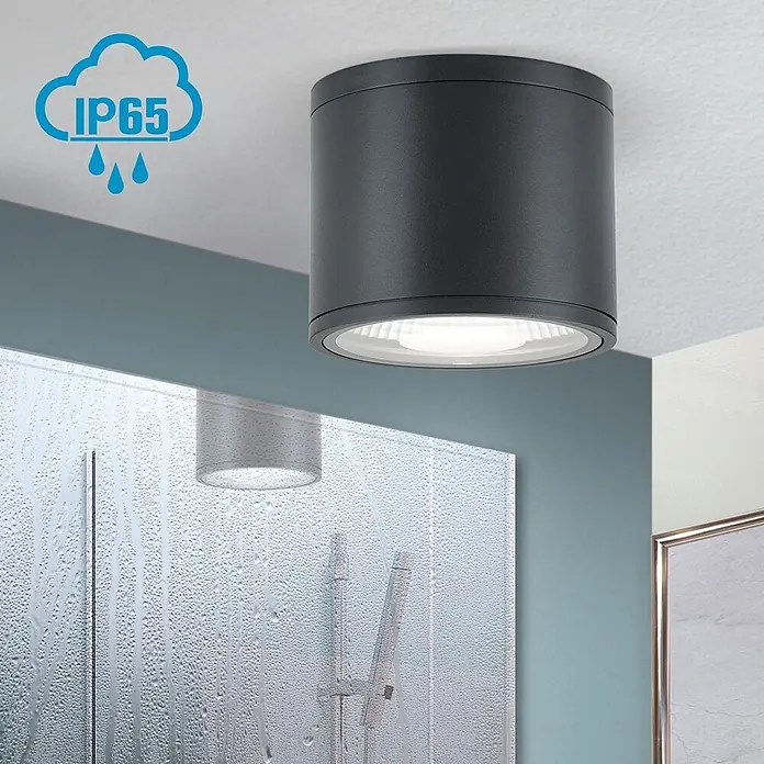 Orion Leuchten LED-Außendeckenleuchte Sputnik - 12 W, L x B x H: 14,5 x 14,5 x 12 cm, Schwarz, Matt, IP65