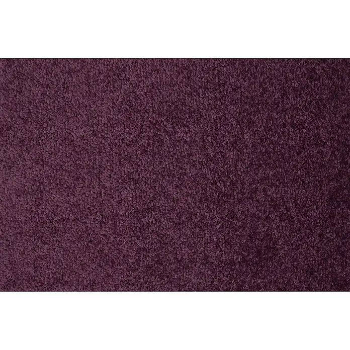 Bricoflor Teppichboden Meterware Griffmuster, Velours Hochflor, lila pink - Velours, 100 % Polypropylen (PP), lila pink