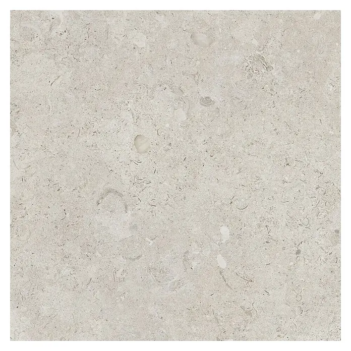 Feinsteinzeugfliese Coralina Blanco - 60 x 60 cm, Weiß, Matt - Helle graue Natursteinfliese mit subtilen fossilen Einschlüssen und Textur.