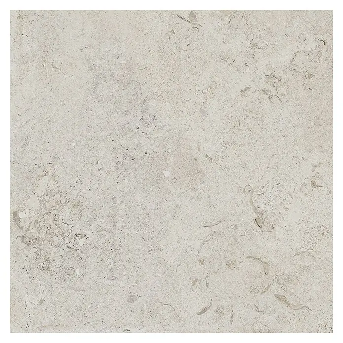 Feinsteinzeugfliese Coralina Blanco - 60 x 60 cm, Weiß, Matt - Helle beigefarbene Natursteinfliese mit subtilen fossilen Mustern, ideal als Boden- oder Wandbelag.