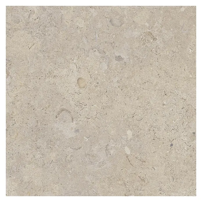 Feinsteinzeugfliese Coralina Beige - 60 x 60 cm, Beige, Matt - Helle beige Natursteinplatte mit fossilen Einschlüssen und dezenter Maserung, geeignet für Böden oder Verkleidungen.