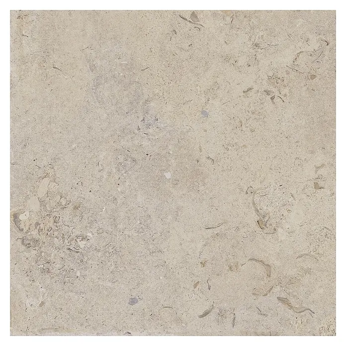 Feinsteinzeugfliese Coralina Beige - 60 x 60 cm, Beige, Matt - Hellbeiges Natursteinfliese mit fossilen Einschlüssen und abwechslungsreicher Textur.