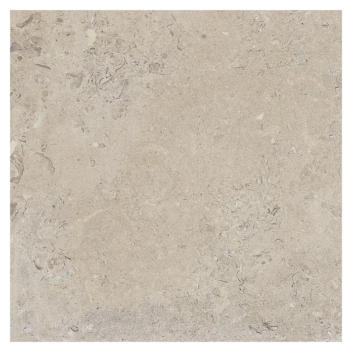 Feinsteinzeugfliese Coralina Beige - 60 x 60 cm, Beige, Matt - Beiger Naturstein oder Fliese mit fossilen Einschlüssen, geeignet für Boden- oder Wandverkleidung.