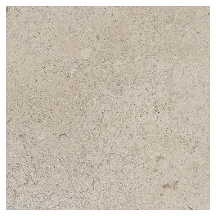 Feinsteinzeugfliese Coralina Beige - 60 x 60 cm, Beige, Matt - Helle beige Natursteintextur mit fossilen Einschlüssen. Ideal für Bodenbeläge oder Oberflächen.