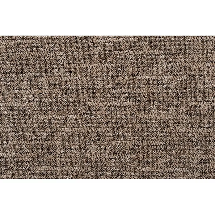 Bricoflor Teppichboden Meterware 5,5x4m, Schlinge gemustert, dunkel braun - Schlinge, 100 % Polypropylen (PP), dunkel braun