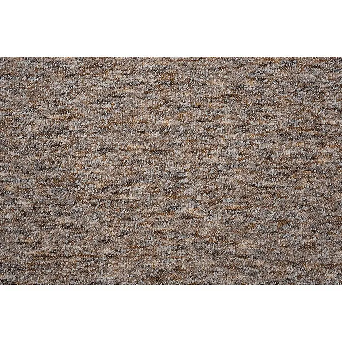 Bricoflor Teppichboden Meterware 3,5x5m, Schlinge gemustert, beige braun - Schlinge, 60 % Polyamid (PA), 40 % Polypropylen (PP), beige braun
