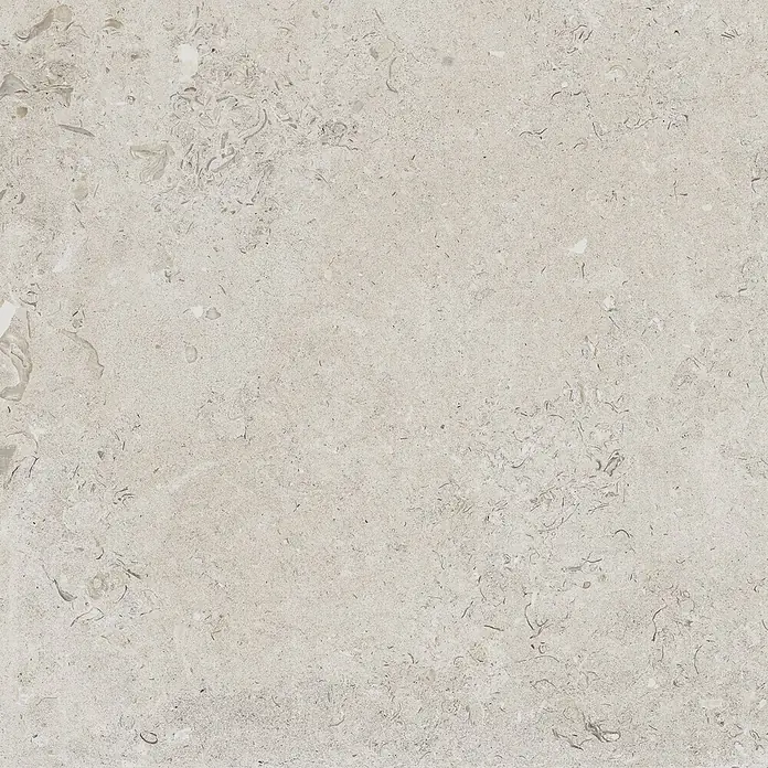 Feinsteinzeugfliese Coralina Blanco - 60 x 60 cm, Weiß, Matt - Helle beigefarbene Natursteinoberfläche mit fossilen Einschlüssen und feiner Körnung.