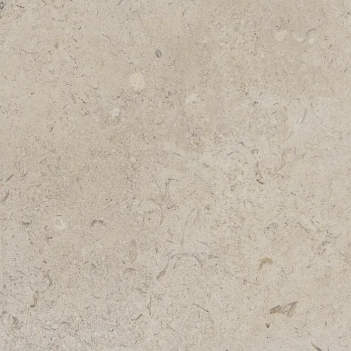 Feinsteinzeugfliese Coralina Beige - 60 x 60 cm, Beige, Matt - Helle beige fossile Kalksteinfliese mit texturierter, matter Oberfläche.