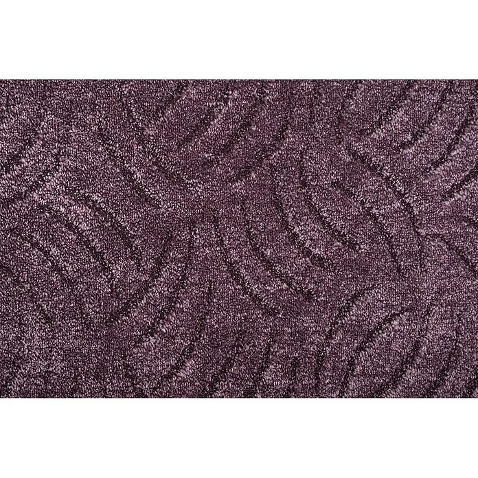 Bricoflor Teppichboden Meterware 7x4m, Schlinge Hoch Tief, lila pink - Schlinge, 100 % Polyamid (PA), lila pink