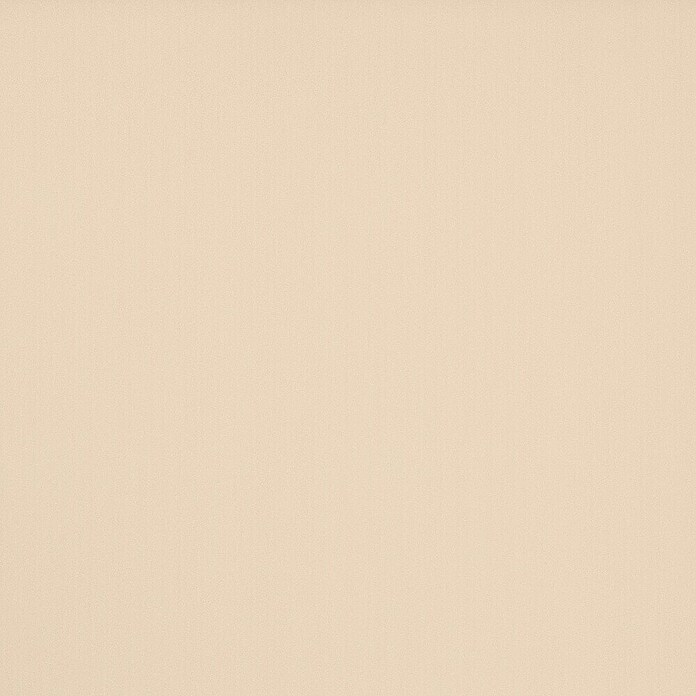 Expo Ambiente Rollo mit Kassette (B x H: 80 x 175 cm, Beige)