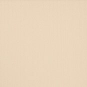 Expo Ambiente Rollo mit Kassette (B x H: 80 x 175 cm, Beige)