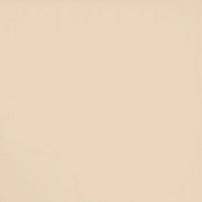 Expo Ambiente Rollo mit Kassette - B x H: 100 x 175 cm, Beige, Uni - Muster aus hellbeige texturiertem Material.