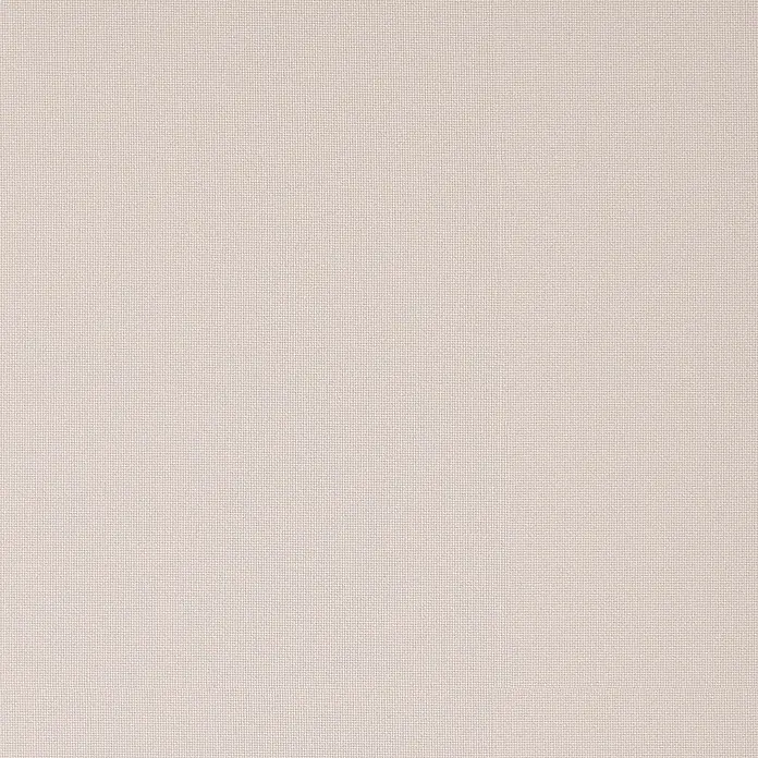 Expo Ambiente Rollo - B x H: 120 x 190 cm, Creme, Uni, Tageslichtdurchlässig - Strukturierter, hellbeiger Webstoff.