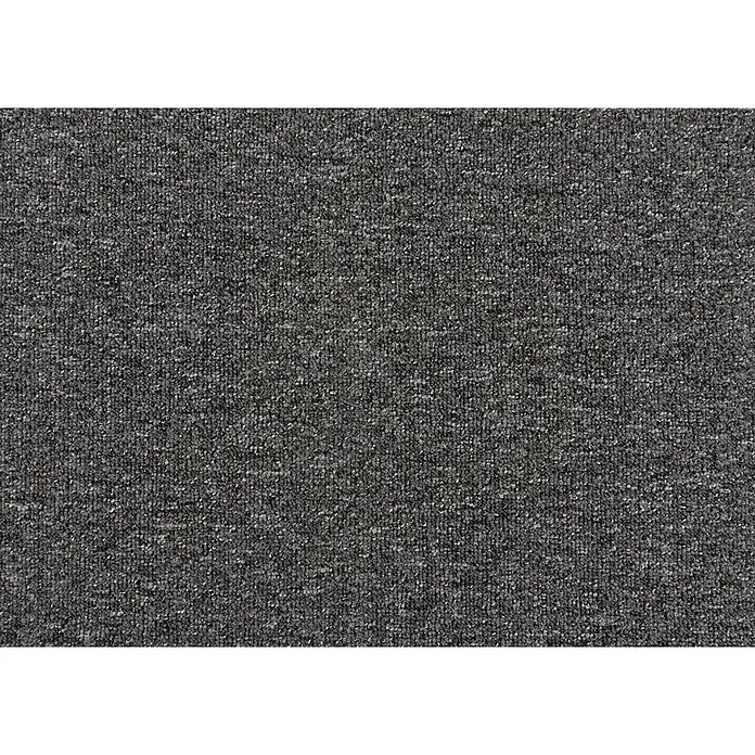 Bricoflor Teppichboden Meterware 8x4m, Schlinge gemustert, dunkel-grau anthrazit - Schlinge, 100 % Polypropylen (PP), dunkel-grau anthrazit