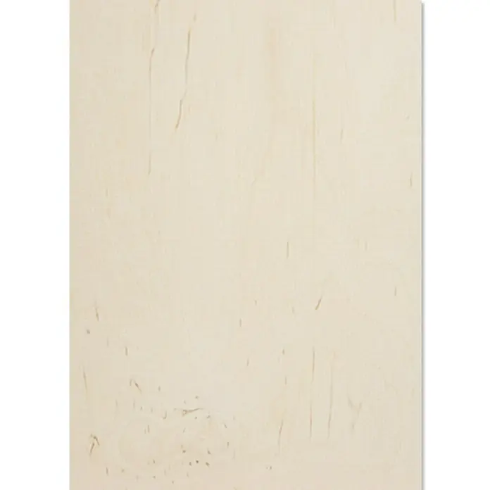 Tischlerplatte nach Maß I - Birke, Erle, L x B: 2.500 x 1.250 mm, Stärke: 18 mm - Nahaufnahme einer hellen Holzplatte mit zarten Maserungen und einer glatten Oberfläche, ideal für Möbelbau und Innenausbau.