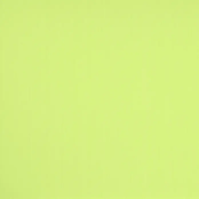 Expo Ambiente Rollo Mini - B x H: 45 x 150 cm, Grün, Uni, Verdunkelnd - Einfarbige lindgrüne Oberfläche.
