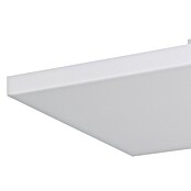 Eglo LED-Panel TURCONA-Z (31,8 W, L x B x H: 120 x 30 x 5 cm, Weiß, RGB) | BAUHAUS