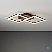 Eglo LED-Deckenleuchte PARANDAY-Z (21,5 W, L x B x H: 52,5 x 31 x 6 cm, Schwarz) | BAUHAUS
