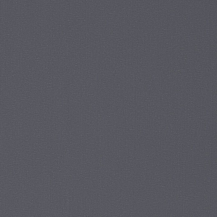Expo Ambiente Rollo mit Kassette (B x H: 40 x 175 cm, Grau)