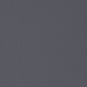 Expo Ambiente Rollo mit Kassette (B x H: 40 x 175 cm, Grau)