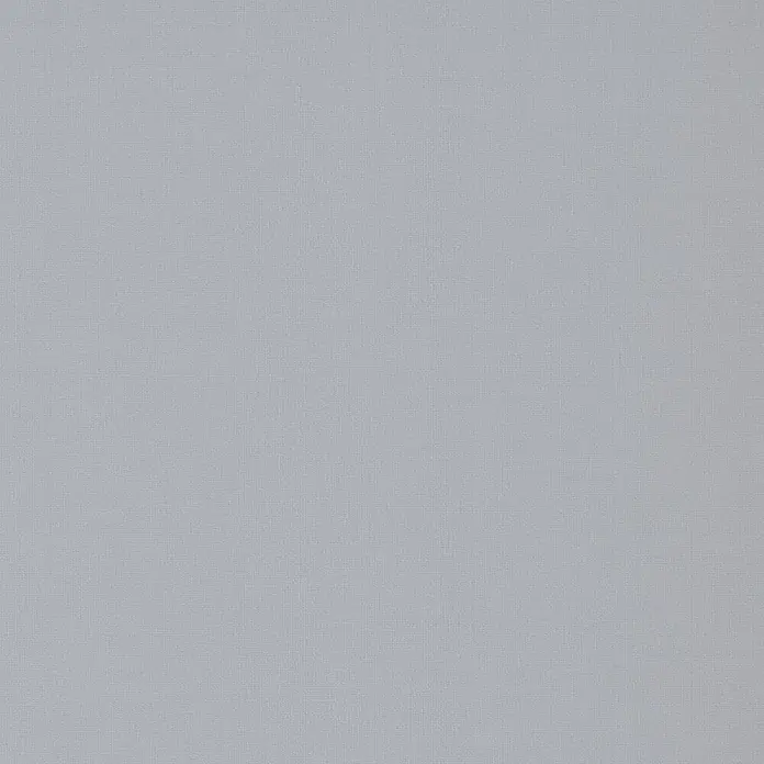 Expo Ambiente Springrollo - B x H: 60 x 190 cm, Grau - Hellgrauer gewebter Stoff mit einer subtilen, gleichmäßigen Textur.