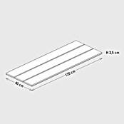 Palatino Sitzdeckel Lotte (120 x 40 cm, Passend für: Palatino Exlusive Line Pflanzkübel eckig Lotte 120 x 40 cm, WPC) | BAUHAUS