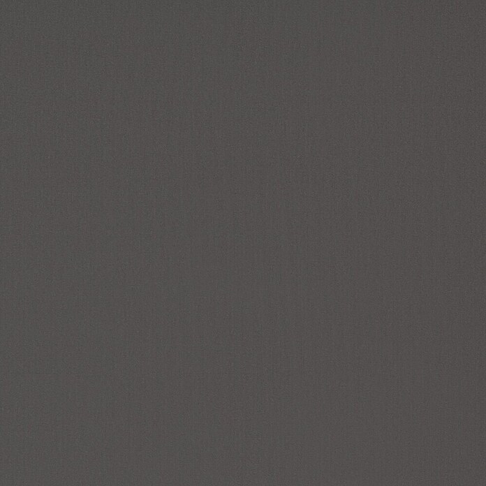 Expo Ambiente Verdunkelungsrollo Mila (B x H: 90 x 275 cm, Grau) | BAUHAUS
