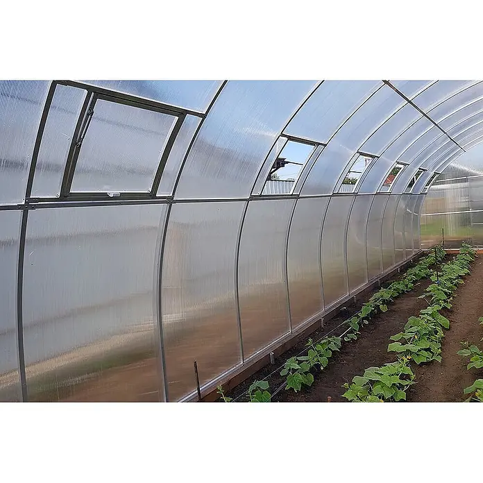 Garten Dream Gewächshaus Fermer, 10mm Polycarbonat - 500 x 600 cm, Material Seitenwand: Kunststoff, 10 mm, Silber