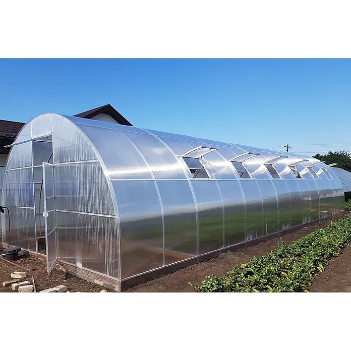 Garten Dream Gewächshaus Fermer, 4mm Polycarbonat - 500 x 600 cm, Material Seitenwand: Kunststoff, 4 mm, Silber