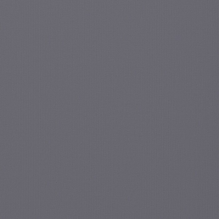 Rollo mit Kassette (B x H: 50 x 175 cm, Grau, Uni) | BAUHAUS