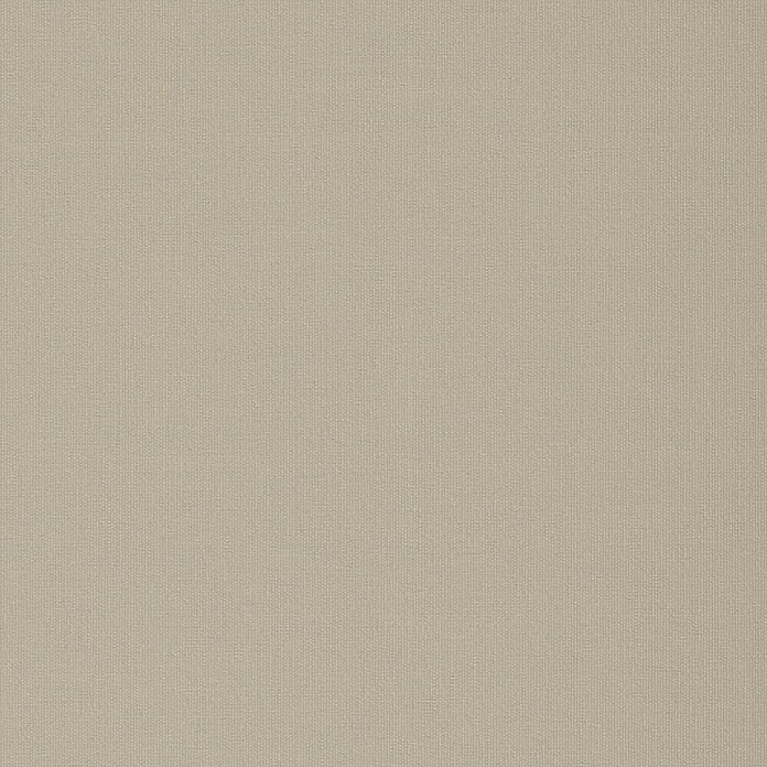 Verdunkelungsrollo (B x H: 160 x 190 cm, Zement) | BAUHAUS