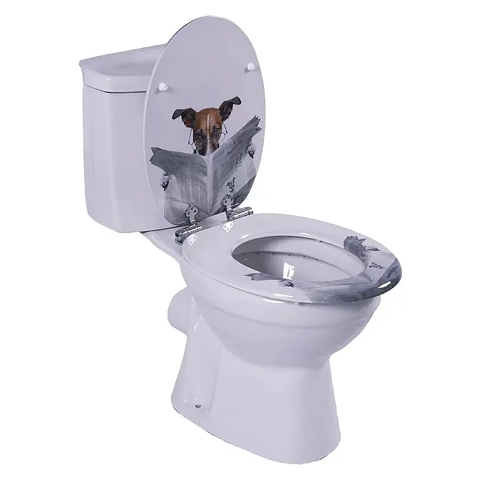 SAINOS WC-Sitz MDF WC-Sitz, Grau, Universal-O-Form, Absenkautomatik, Unten - MDF, Grau, Mit Absenkautomatik
