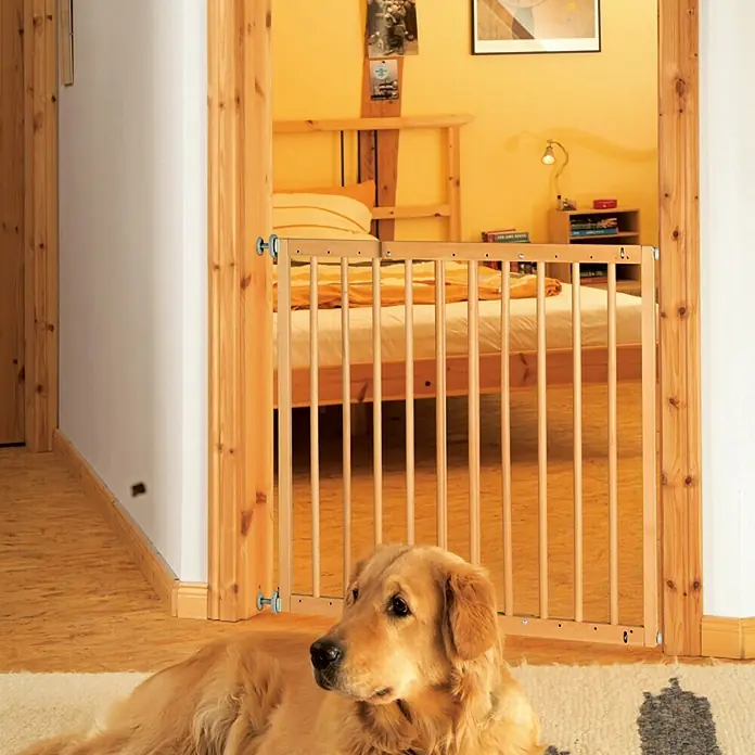Star Stairs Sicherheitsgitter Svea - Höhe: 70 cm, Verstellbar: 61 cm - 101,7 cm - Ein hellbrauner Hund liegt vor einem Holztor. Das Türgitter schützt einen Schlafraum mit gelben Wänden.