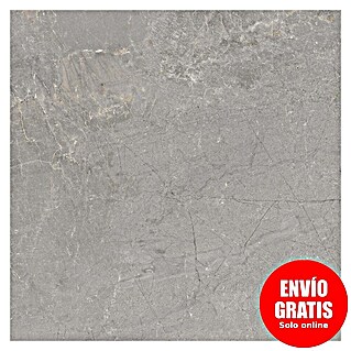 Halcón Pavimento porcelánico Tempo (60,5 x 60,5 cm, Ash, Mate, Clase 3 Antideslizante)