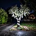 Eglo LED svjetlosna traka Collepasso 