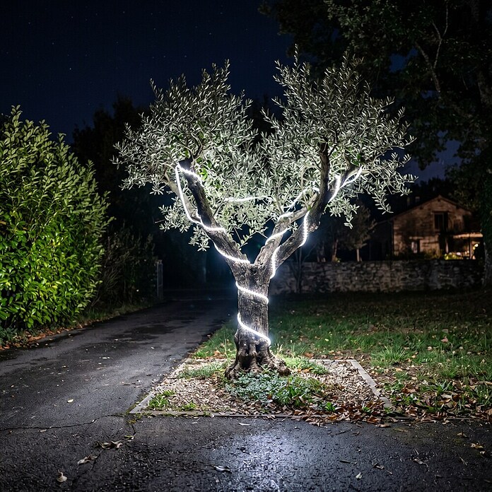 Eglo LED svjetlosna traka Collepasso  (Temperatura boje: 5.500 K, 25 m, IP65) | BAUHAUS