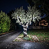 Eglo LED svjetlosna traka Collepasso  (Temperatura boje: 5.500 K, 25 m, IP65) | BAUHAUS