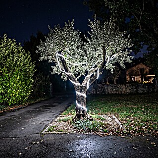 Eglo LED svjetlosna traka Collepasso (Temperatura boje: 5.500 K, 25 m, IP65)